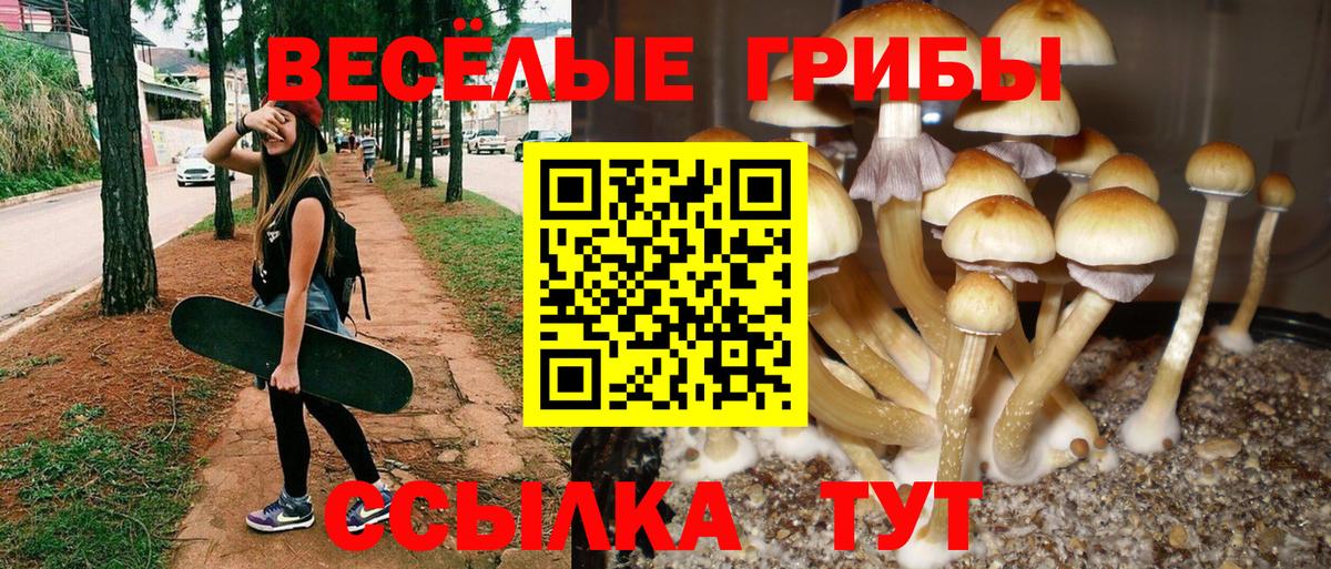 Псилоцибиновые грибы Cubensis  Вход с VPN  Набережные Челны  Галлюциногенные грибы мицелий 